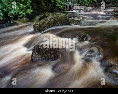 Kleine Wasserfälle auf Kirk Burn, die durch Campsie Glen oberhalb von Clachan in Campsie bei Lennoxtown Schottland führen. Stockfoto