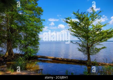 Blick vom Ufer des Tennessee River entlang des Natchez Trace parkway in Mississippi. Stockfoto