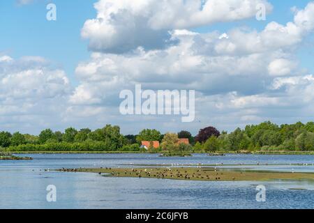 Die Riesenfelder Münster, Europäisches Vogelschutzgebiet in Münster, Nordrhein-Westfalen, Deutschland, Europa Stockfoto