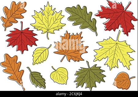 Vektor-Illustration, Satz von hellen realistischen Herbstblättern. Herbst verlässt den Hintergrund. Ahorn, Linden, Eiche und Birkenblätter. Stock Vektor