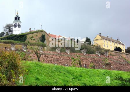 Festung Petrovaradin, Petrovaradinska tvrđava, Petrovaradin, Pétervárad, Serbien, Europa, ehemaliges Ungarn Stockfoto