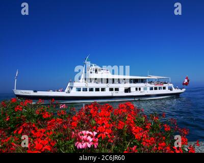 Fähre auf dem Bodensee, Schweiz Stockfoto