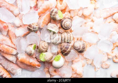 Sortiment von gefrorenen Meeresfrüchten auf Eiswürfeln, Garnelen, Babylonia areolata Schalentiere Schnecken, langostines, reich an Jod, Antioxidantien und Vitamin, schließen Stockfoto