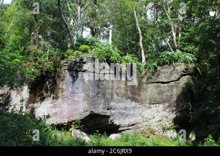 Überhängende, überwuchert Felswand am Alderley Rand in Cheshire, England Stockfoto