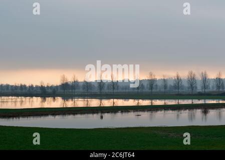 Frühmorgens Winterblick über aller Moor und Sowey River bei Burrowbridge auf den Somerset-Ebenen mit Baumreflexen im Hochwasser. Stockfoto