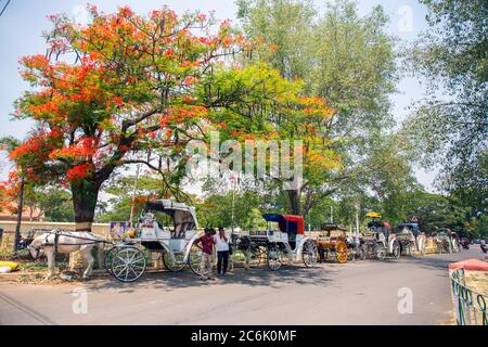 Touristenattraktionen in mysore, mysuru, Karnataka, südindien, mysore Zoo, mysuru tempe, mysore Tourismus und Straße Verkäufer, Sandmuseum, Skulpturenmuseum mysore Stockfoto