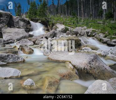 Der Cold Creek stürzt über Granitfelsen in der Hohen Tatra, Slowakei, mit Wald und seidenem Bergwasser. Stockfoto