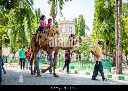 Touristenattraktionen in mysore, mysuru, Karnataka, südindien, mysore Zoo, mysuru tempe, mysore Tourismus und Straße Verkäufer, Sandmuseum, Skulpturenmuseum mysore Stockfoto