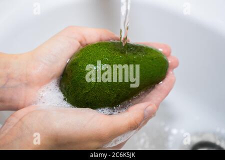 Waschen von Obst mit Seife und Schaum. Avocados waschen. Hände und seifige grüne Avocado Stockfoto