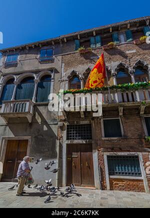 Venedig, Italien - 20. April 2019: Alter Mann füttert Tauben vor historischen traditionellen Häusern, an einem schönen sonnigen Tag. Stockfoto