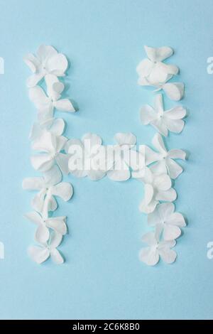 Blumenalphabet - H. Brief aus lebendigen Blumen auf hellblauem Hintergrund