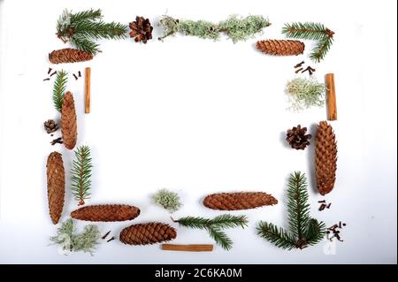 Weißer Raum mit Rahmen bestehend aus Fichtenzweigen, Zapfen und Tannenzapfen, Zweig mit Flechten, Zimtstangen und Nelken. Platz in der Mitte des ph-werts kopieren Stockfoto