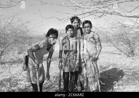 Harte Arbeit: Junge indische Mädchen schlagen Holz im Nationalpark Little Rann of Kutch, in der Salzsumpf-Landschaft im Bundesstaat Gujarat, Indien Stockfoto