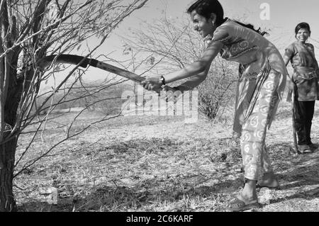 Harte Arbeit: Junge indische Mädchen schlagen Holz im Nationalpark Little Rann of Kutch, in der Salzsumpf-Landschaft im Bundesstaat Gujarat, Indien Stockfoto