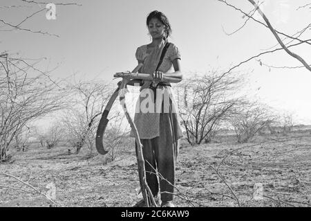 Harte Arbeit: Junge indische Mädchen schlagen Holz im Nationalpark Little Rann of Kutch, in der Salzsumpf-Landschaft im Bundesstaat Gujarat, Indien Stockfoto