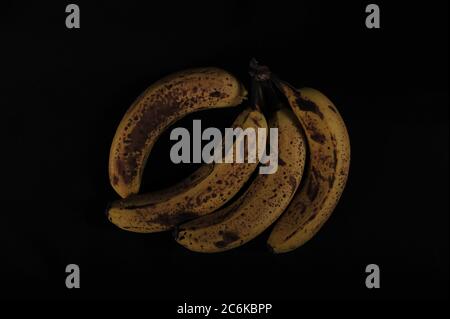 Vier überreife Bananen auf schwarzer Oberfläche. Horizontaler High-Angle-Shot mit Kopierraum um die Früchte. Low-Key-Aufnahme. Stockfoto