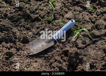 Kleine blaue Handschaufel auf dem Boden Stockfoto