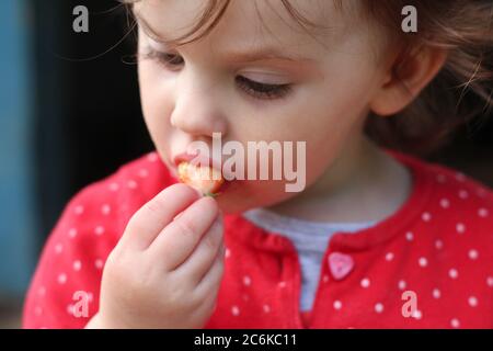 Kleines Kind in einem roten Pullover mit schönen Augen und einem schmutzigen Mund frisst Erdbeeren Stockfoto