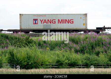 Yang Ming Transportcontainer auf einem freightliner Zug, Warwickshire, Großbritannien Stockfoto