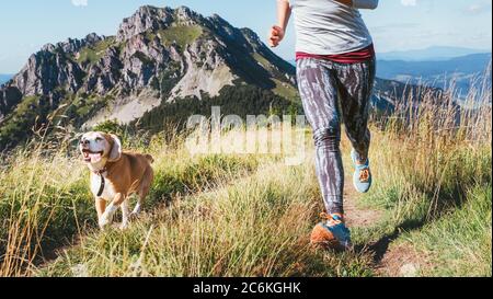 Weibchen joggen mit ihrem Beagle-Hund am Wanderweg. Canicross Laufen gesunde Lebensweise Konzept Bild. Stockfoto