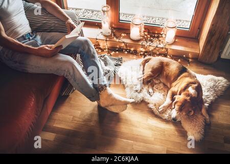Mann liest Buch auf der gemütlichen Couch in der Nähe rutschen seinen Beagle Hund auf Schaffell in gemütlicher Atmosphäre. Friedliche Momente des gemütlichen Hauses Konzept Bild. Stockfoto