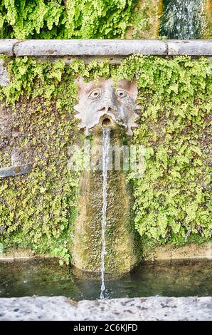 Die hundert Brunnen, iconic Spot in der Villa d'Este, Tivoli, Italien Stockfoto
