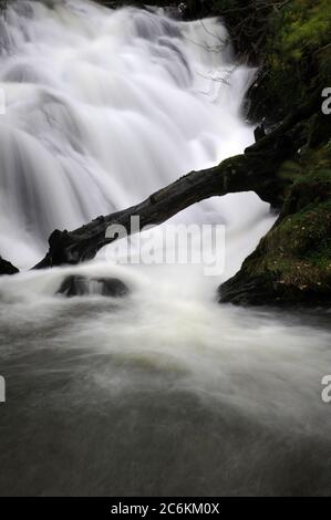 Afon Twymyn verlässt die Schlucht bei Dylife. Stockfoto