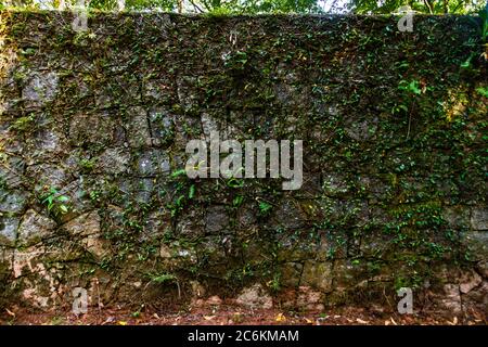 Alte Steinmauer mit Kriechgang in Ilhabela, São Paulo, Brasilien Stockfoto