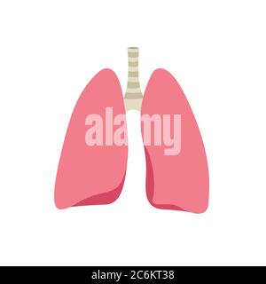 Symbol für flache menschliche Lungen, Vektorgrafik in Farbe Stock Vektor