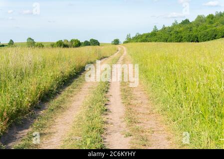 Unbefestigte Straße führt zum bewaldeten Horizont entlang der Felder. Sommer sonnige Landschaft. Stockfoto