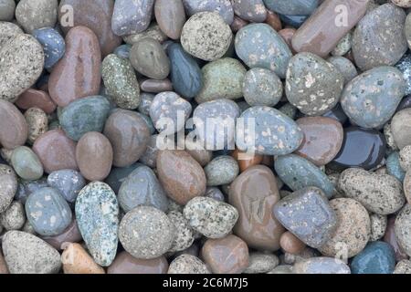 1 - Melierte und marmorierte Steine und Kieselsteine am Strand, nass vom Regen Stockfoto