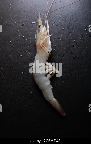 Garnelen auf schwarzem Teller mit Wassertropfen Stockfoto
