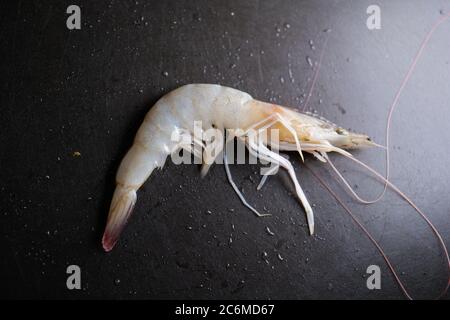 Garnelen auf schwarzem Teller mit Wassertropfen Stockfoto
