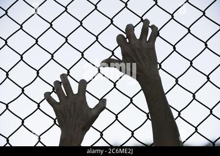 Gebleicht gefiltertes Bild von Händen in verzweifeltem Griff auf Netz verdrahteten Zaun, symbolisiert Gefangenschaft, hoffnungslos, Entführung, Kampf und gestresste Person. Stockfoto