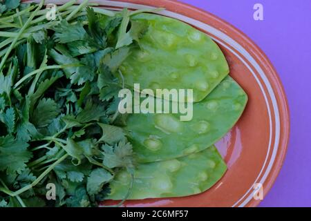 Frischer Nopal (Mexican Eßbare Kaktus), Pads sauber ohne Dornen auf einem traditionellen Tonteller Stockfoto