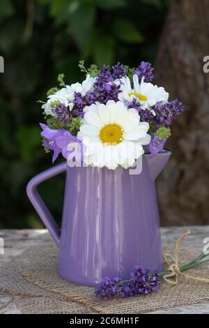 Bouquet von Margeriten und Lavendel in Vase als Sommerdekoration Stockfoto