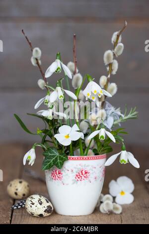 Bouquet von Schneetropfen und Weidenkätzchen in Tasse Stockfoto