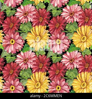 Eleganz nahtlose Farbe Gerbera Muster auf schwarzem Hintergrund Stock Vektor