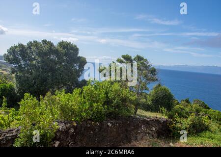 Spaziergang auf dem Azoren Archipel. Entdeckung der Insel sao jorge, Azoren. Portugal, Velas Stockfoto