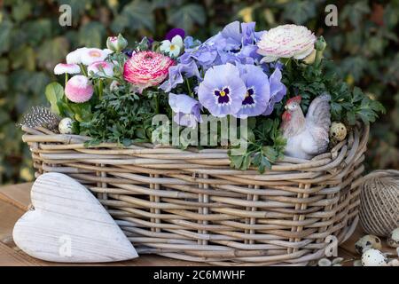 Frühlingsblumen im Korb als Gartendekoration Stockfoto