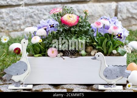 osterdekoration mit Frühlingsblumen in Wwoden Box und osterschweine Stockfoto