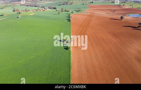 Luftaufnahme von kultiviertem Ackerland bei Cowra im New South Wales Central West. Dieses Land kann sehr produktiv sein, wenn es genug rai gegeben hat Stockfoto