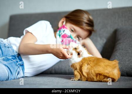 Kleines Mädchen in Maske spielt mit rotem Meerschweinchen, cavy zu Hause auf dem Sofa, während in Quarantäne. Stockfoto