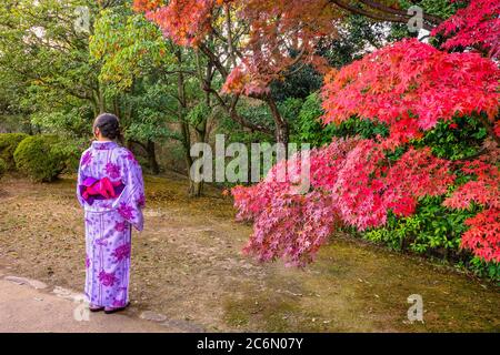 Mädchen in traditionellen japanischen Kimono gekleidet genießen die Herbstlandschaft in einem Garten in Kyoto, Japan Stockfoto