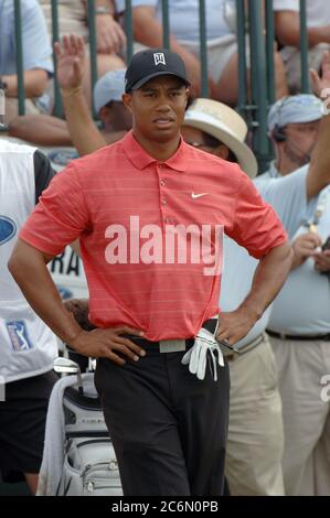 MIAMI, FL-MÄRZ: Tiger Woods bei der Ford Championship in Doral zum zweiten Jahr in Folge. Auf dem Dorals Blue Monster Golfplatz im Doral Golf Resort & Spa. März 2006 Miami Beach, Florida Menschen: Camilo Villegas Stockfoto