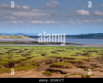 Northam Burrows, in der Nähe von Bideford, North Devon, England. Juni 2020. Stockfoto