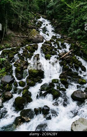 Toller Wasserfall mit viel Wasser mitten im Wald. Stockfoto