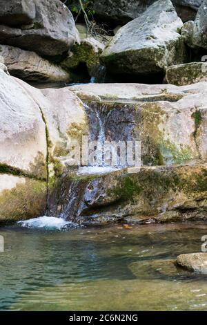 Kleiner Wasserfall mitten im Wald. Stockfoto