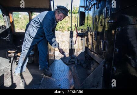 Kohle wird auf der Dampflokomotive der British Railways Standard Class 4MT 76017 im Hof am Bahnhof von Ropley in das Feuer geschaufelt, da die Mid Hants Railway, auch bekannt als Watercress Line, sich nach der Lockerung der Sperrbeschränkungen in England darauf vorbereitet, der Öffentlichkeit wieder zu öffnen. Stockfoto