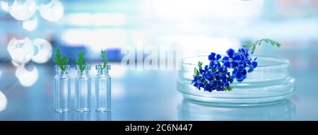 Lila blaue Natur Blume und grüne verlassen auf Glasplatte und Fläschchen mit chemischer Struktur in blauen Biotechnologie Wissenschaft Hintergrund Stockfoto